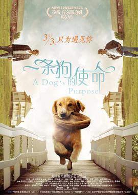 午夜国产在线视频