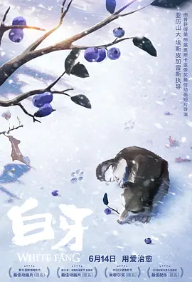 久久99爱爱