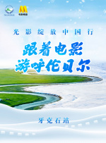 沙漠之死