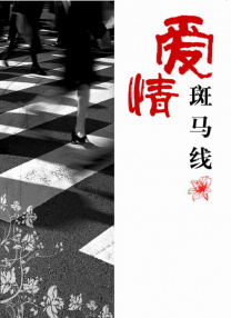 猫咪最新地域网名是什么
