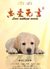 老司机在线精品视频91免费观看