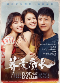 久久久久久综合七次郎