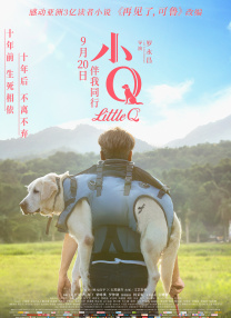 午夜一区不卡