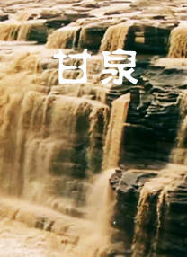 91精品免费观看老司机