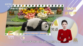 欧美操穴